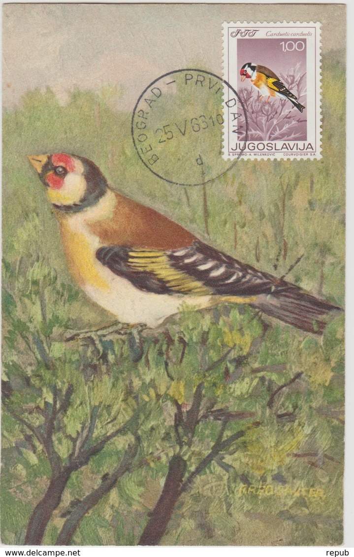 Yougoslavie Carte Maximum Oiseaux 1968 Chardonneret 1178 - Cartes-maximum