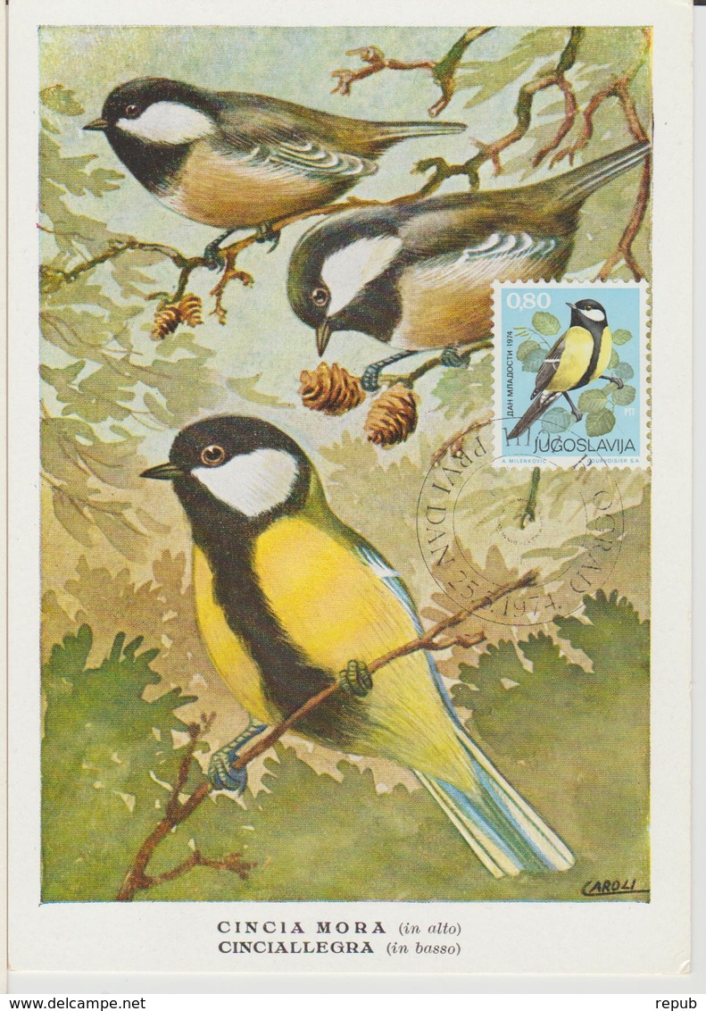 Yougoslavie Carte Maximum Oiseaux 1974 Mésange 1443 - Cartes-maximum