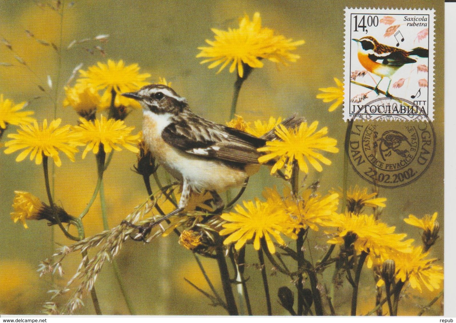 Yougoslavie Carte Maximum Oiseaux 2002 Traquet 2907 - Cartes-maximum