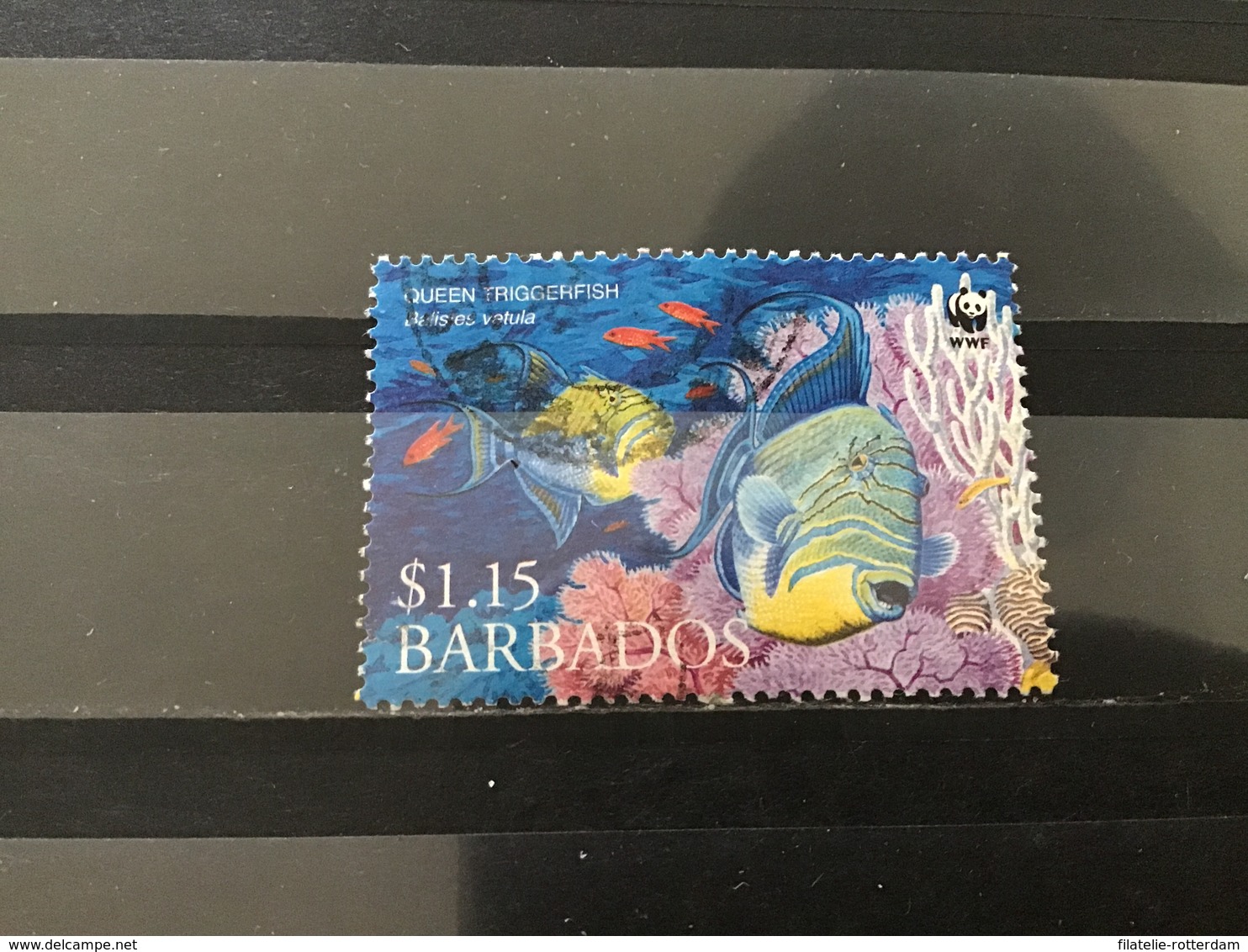 Barbados - WWF, Koningstrekkervis (1.15) 2006 - Barbades (1966-...)