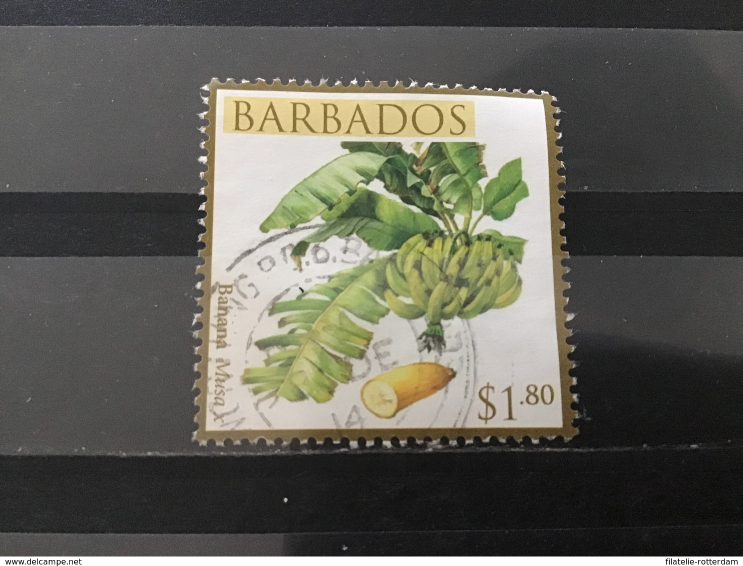 Barbados - Vruchten (1.80) 2011 - Barbados (1966-...)