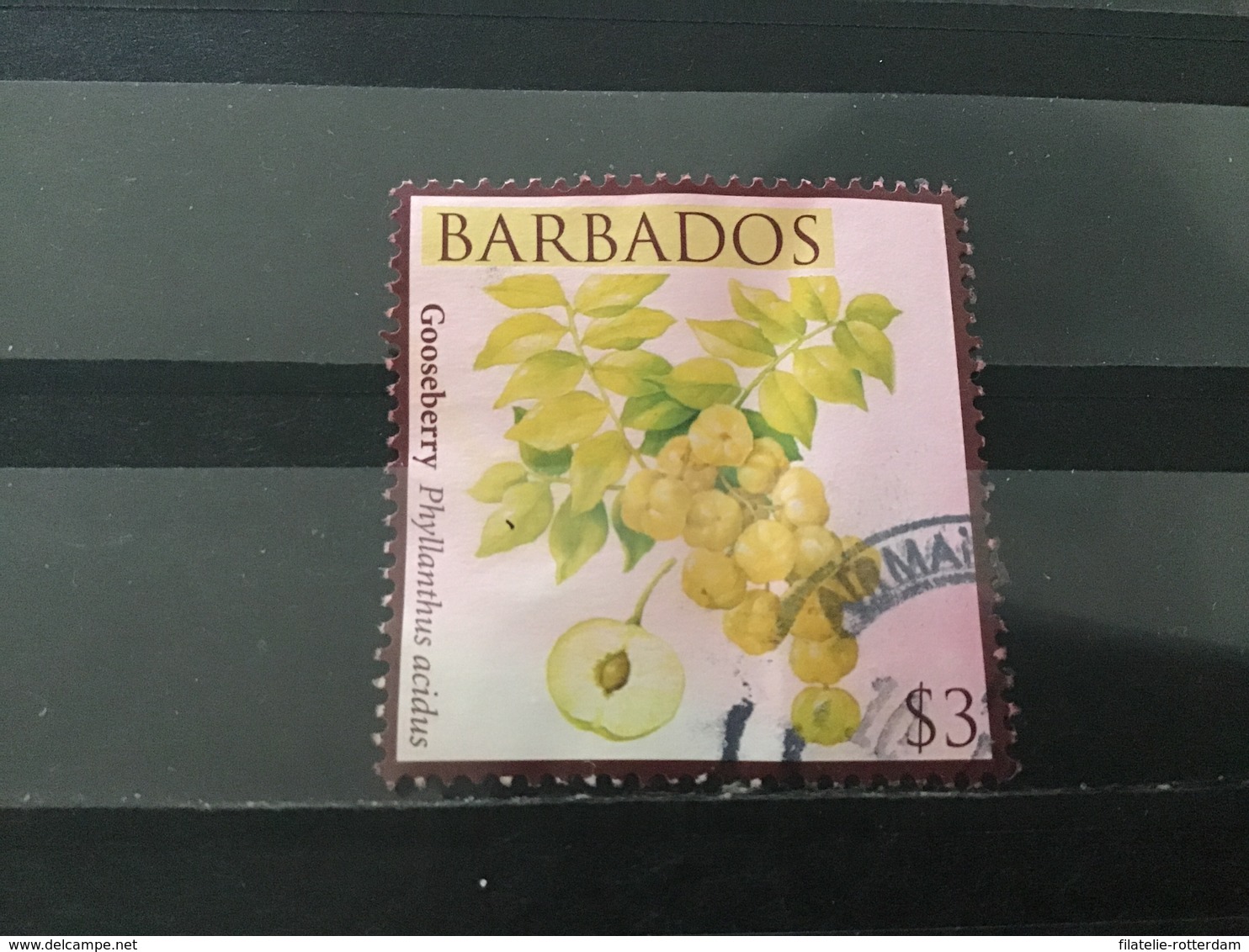 Barbados - Vruchten (3) 2011 - Barbades (1966-...)