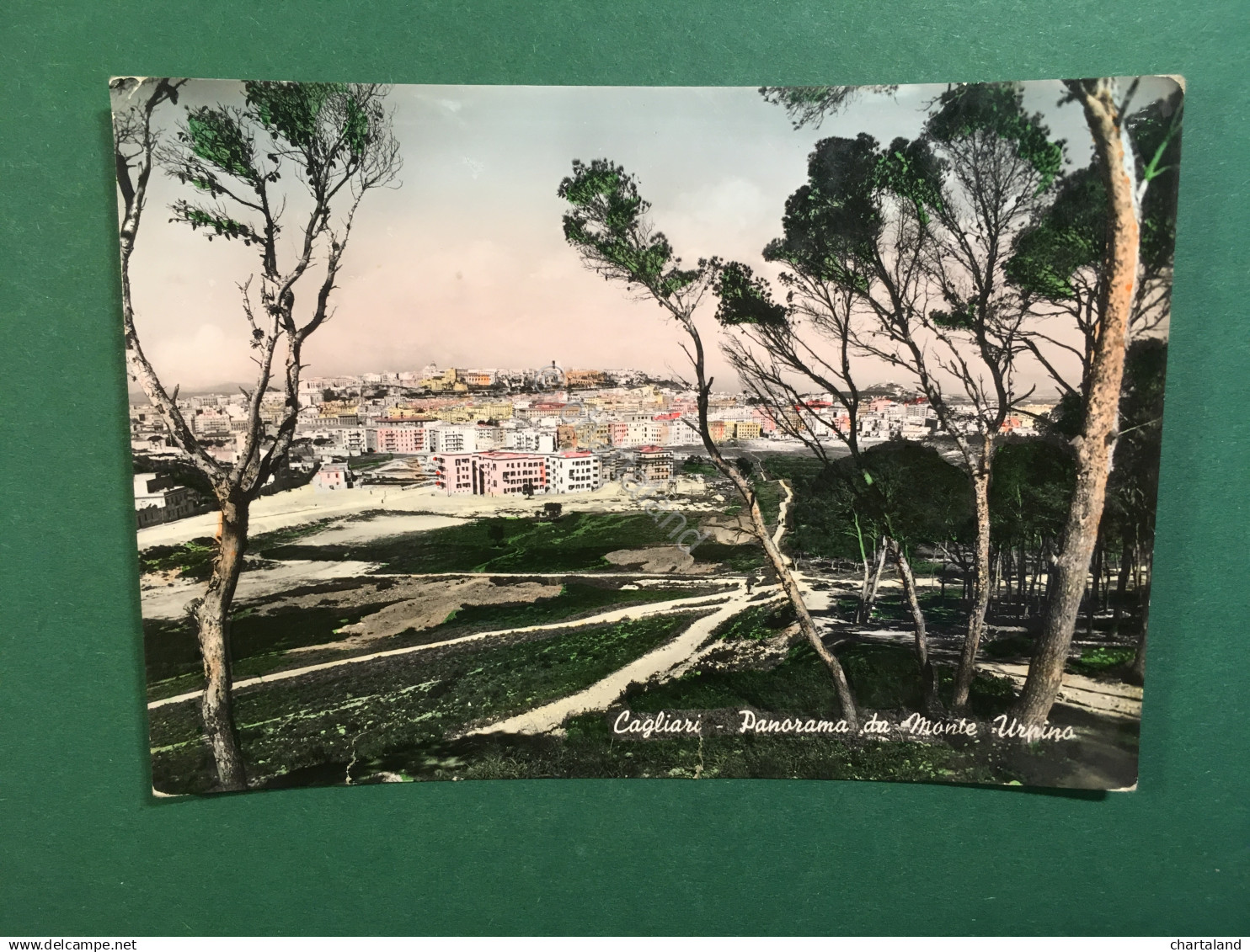 Cartolina Cagliari - Panorama Da Monte Urpino - 1954 - Cagliari