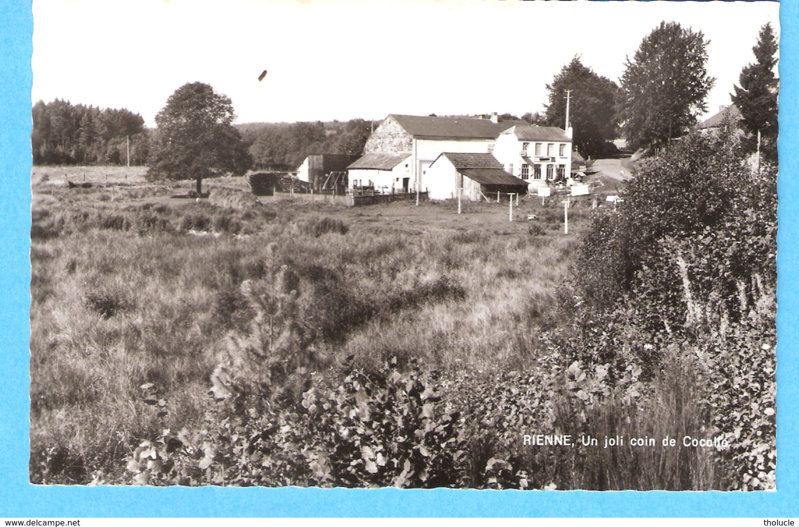 Rienne (Gedinne)-+/-1960-Un Joli Coin De Cocolle (Cocole)-Ferme Auberge -photo Véritable - Gedinne