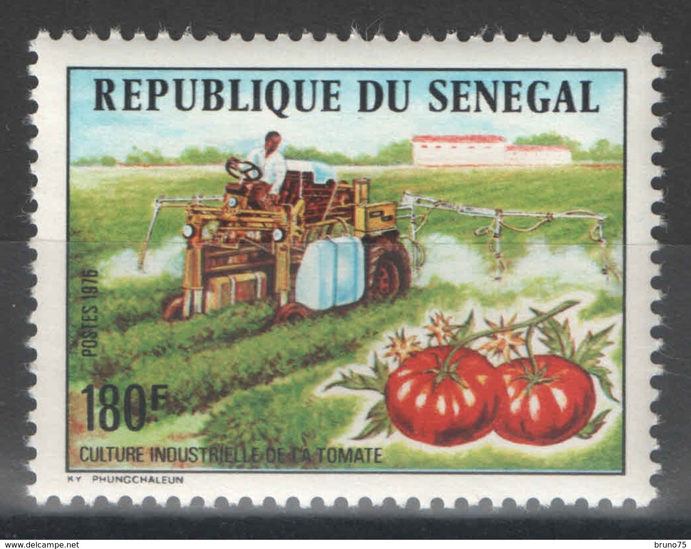 Sénégal - YT 435 ** - 1976 - Culture Industrielle De La Tomate - Sénégal (1960-...)