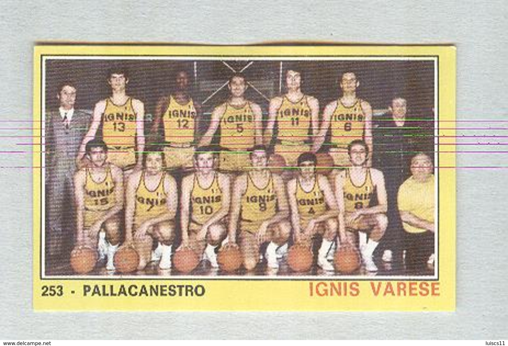 IGNIS VARESE...TEAM....PALLACANESTRO....VOLLEY BALL...BASKET - Trading Cards