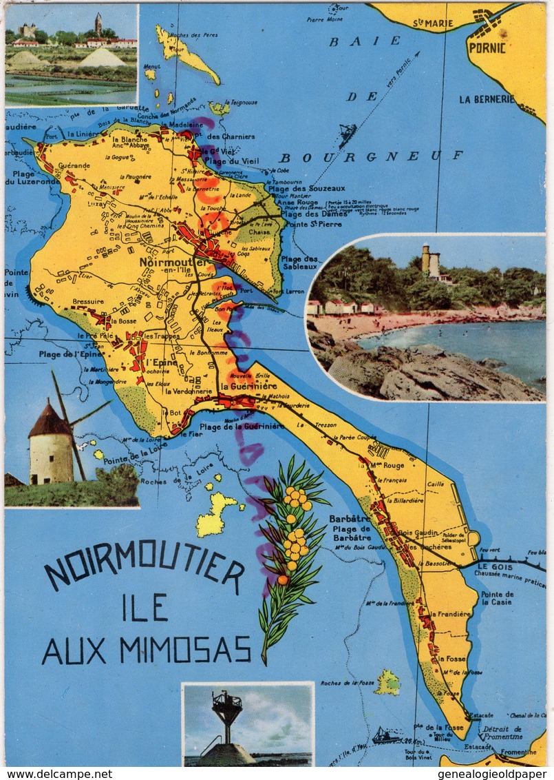 85 - ILE NOIRMOUTIER - ILE AUX MIMOSAS - Ile De Noirmoutier