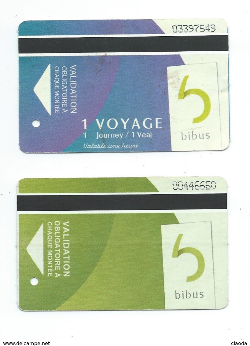 164 T - 2 TICKETS BREST BIBUS - 2 ANCIENS (TICKET BLEU 1 JOURNÉE Et VERT 10 VOYAGES ) - Europa