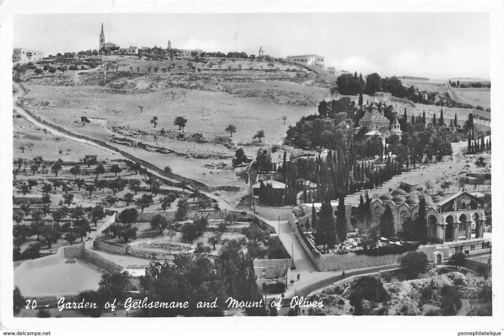 Jordanie / 01 - Garden Of Gethsemane And Mount Of Olives - Jordanie