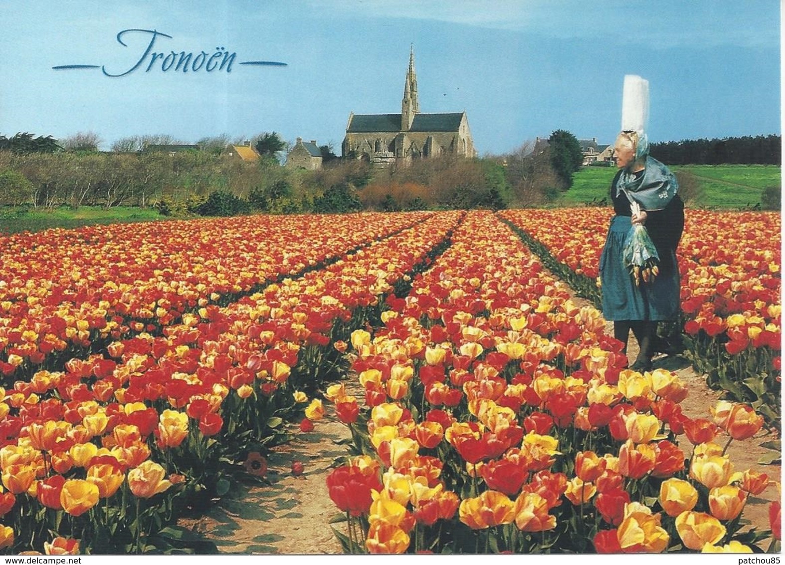 CPM  France    29 Finistère  Saint Jean Trolimon  Tronoën  Une Bigoudène Parmi Les Tulipes - Saint-Jean-Trolimon