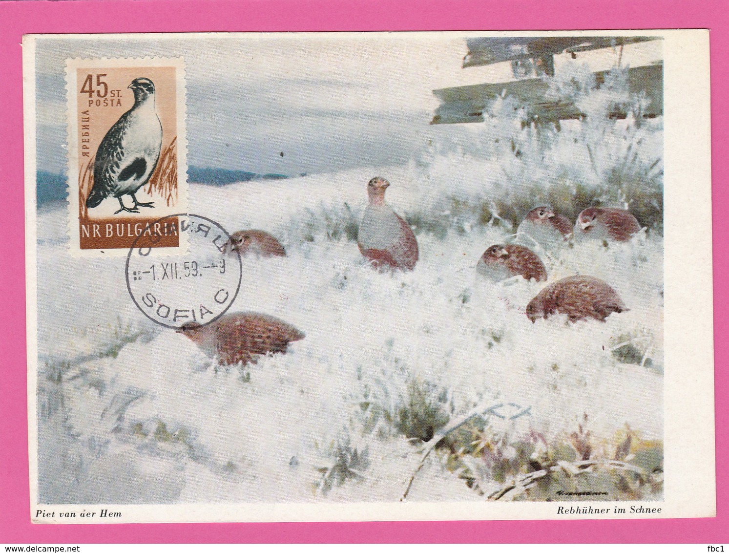 Carte Maximum - Oiseaux - Perdrix - Bulgarie - 1959 - Grey Partridge