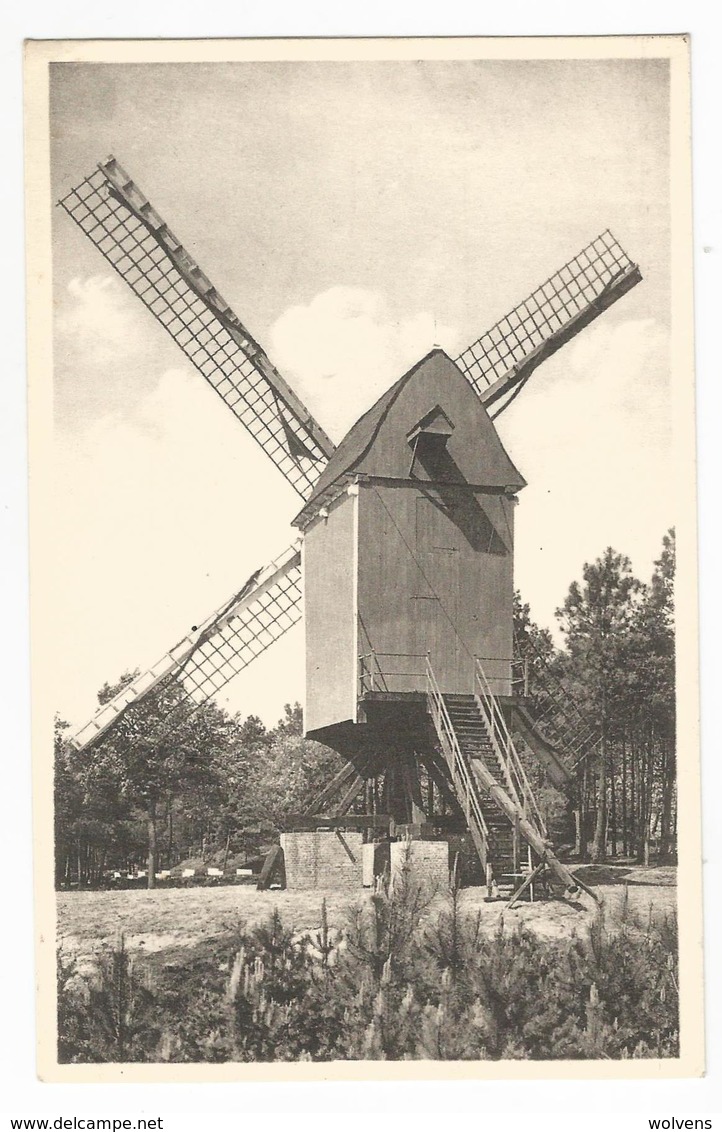 Kasterlee Oude Windmolen Oude Postkaart Casterlee Moulin à Vent - Kasterlee