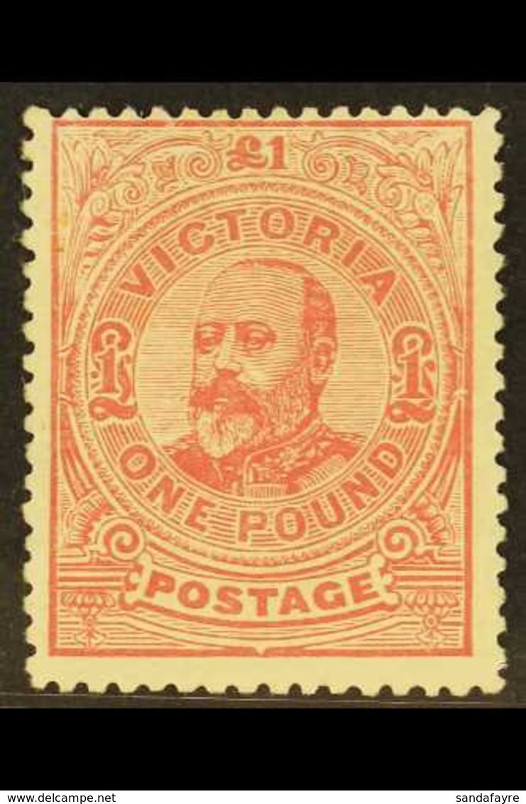 VICTORIA 1905-13 £1 Dull Rose Perf 12½, SG 431a, Fine Mint, Minor Gum Disturbance, Fresh Colour. For More Images, Please - Otros & Sin Clasificación