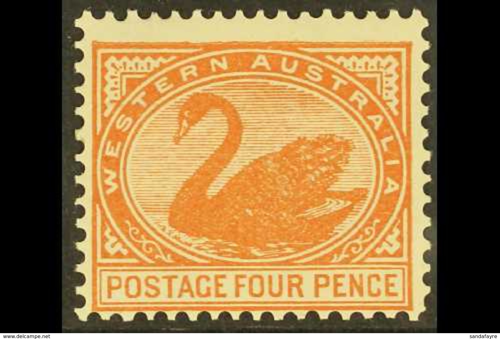 WESTERN AUSTRALIA 1902-11 4d Chestnut, Perf 12½, SG 119, Never Hinged Mint. For More Images, Please Visit Http://www.san - Altri & Non Classificati