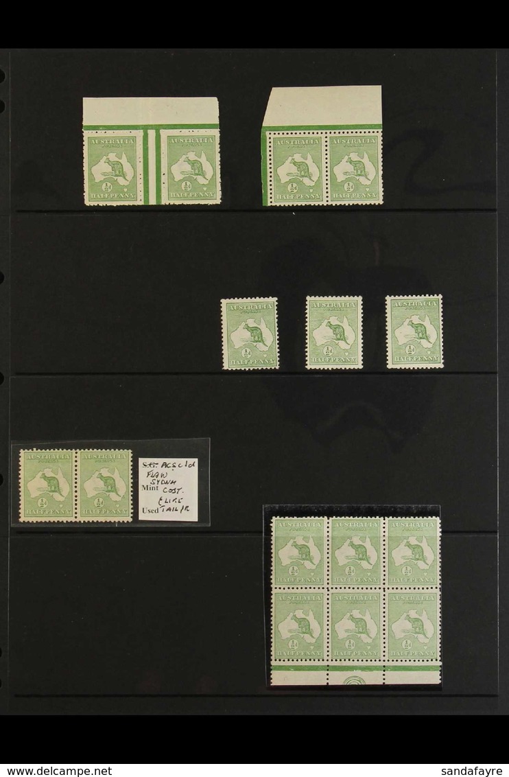 1913 A Lovely Mint / Never Hinged Mint Collection Of ½d Green (Die I) "Roo" (SG 1) Including A Gutter pair From The Top  - Andere & Zonder Classificatie