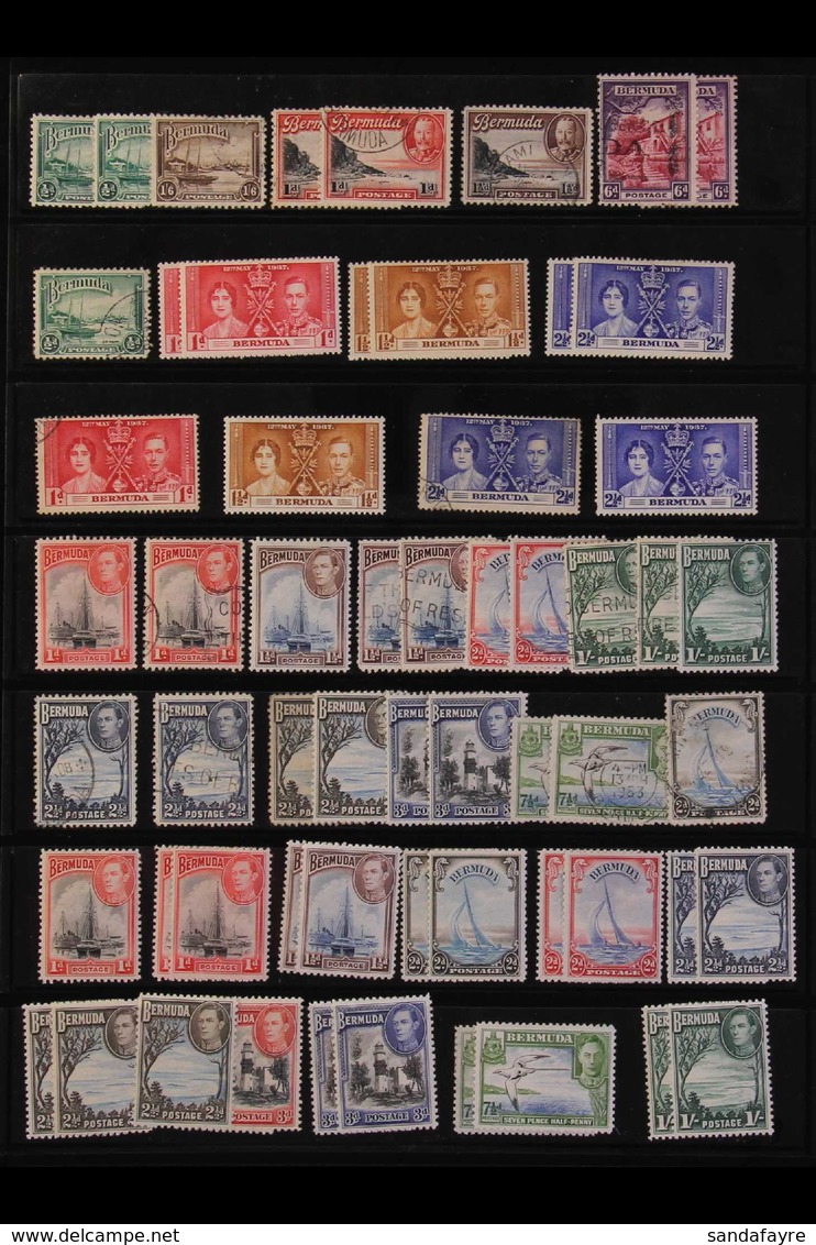 1883-2000s MINT & USED ACCUMULATION An Interesting Accumulation On Stock Pages Full Of Stamps, Briefly We See Small Rang - Bermuda