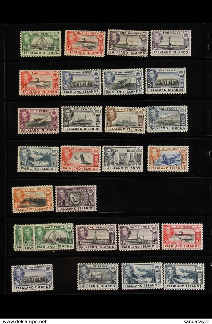 1891-1990 INTERESTING MINT & NEVER HINGED MINT RANGES On Stock Pages, Includes 1891-1902 To 2½d, 1904-12 To 1s, 1912-20  - Falklandinseln