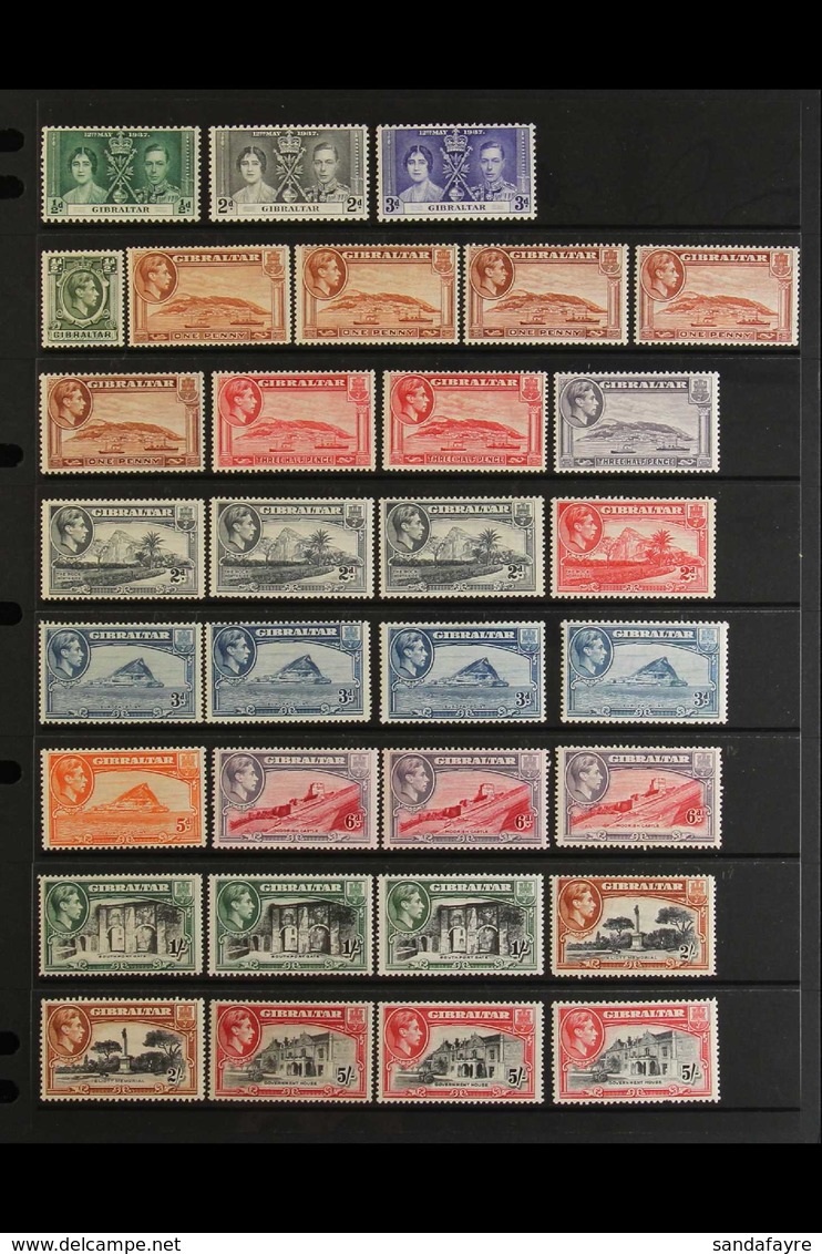 1937-1950 COMPLETE FINE MINT COLLECTION On Stock Pages, ALL DIFFERENT, Includes 1938-51 Pictorials Set With Many Perf &  - Gibraltar