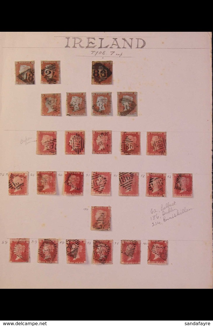 GB USED IN IRELAND 1841-64 PENNY REDS (imperfs, "Stars" & Plate Numbers) Collection Of Used Stamps On A Page, Cancelled  - Sonstige & Ohne Zuordnung