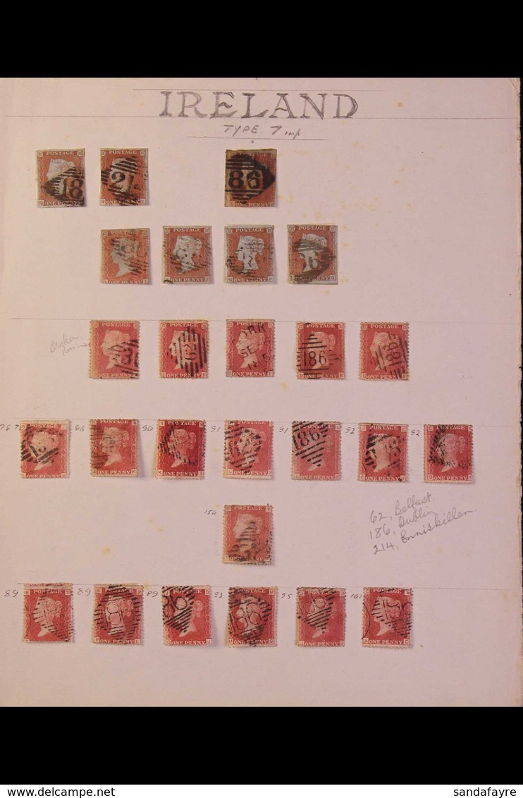 GB USED IN IRELAND 1841-64 PENNY REDS (imperfs, "Stars" & Plate Numbers) Collection Of Used Stamps On A Page, Cancelled  - Otros & Sin Clasificación