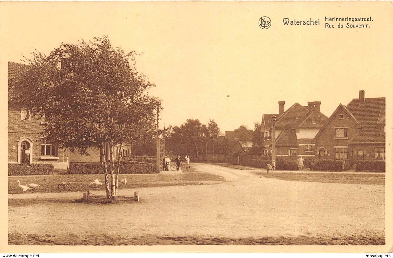 Waterschei - Rue Du Souvenir - Genk