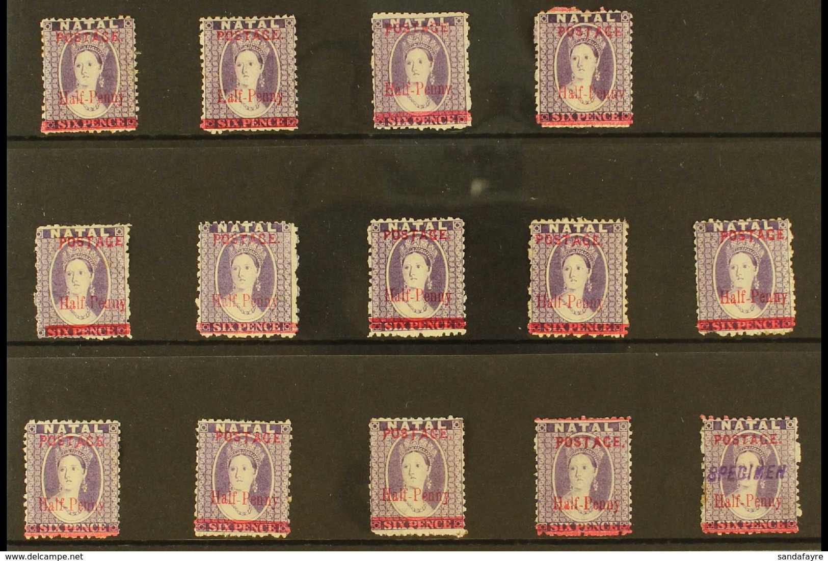 NATAL 1895 MINT SURCHARGED COLLECTION. An All Different Selection Of The ½d On 6d Chalon Issue, A Complete Run Of All Va - Ohne Zuordnung