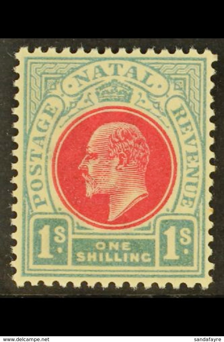 NATAL 1904-8 1s Carmine & Pale Blue, Wmk Mult Crown CA, SG 155, Very Slightly Toned Gum, Otherwise Never Hinged Mint. Fo - Unclassified