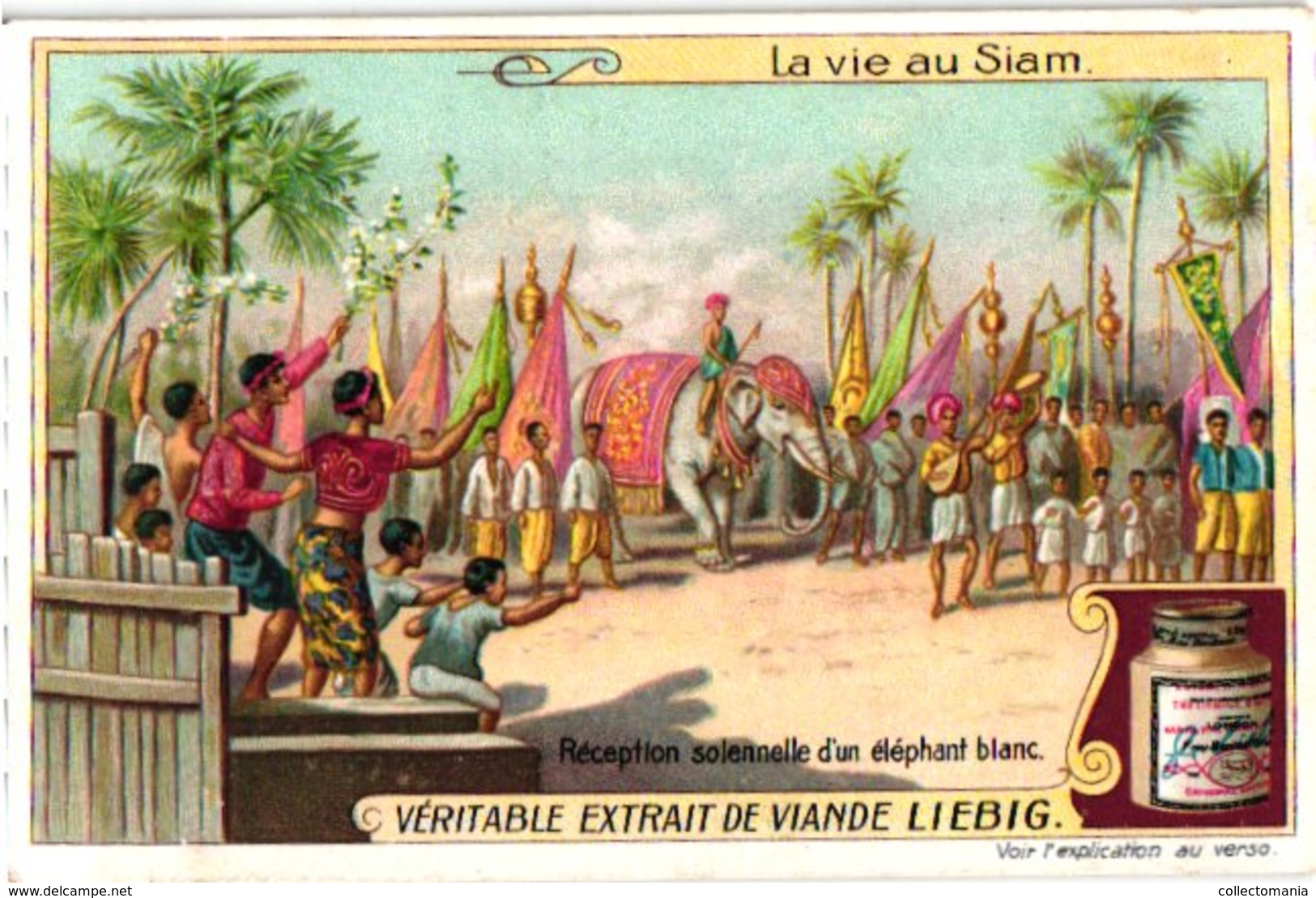 0982  Liebig 6 Cards- C1909-Life In Siam-Vie Au Siam-Cheveux D'Enfant-Enterrement-Eléphant Blanc-Noble-Chans-Bangkok - Liebig