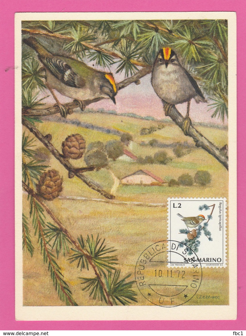 Carte Maximum - Oiseaux - Roitelet Hupé - San Marino - 1972 - Autres & Non Classés