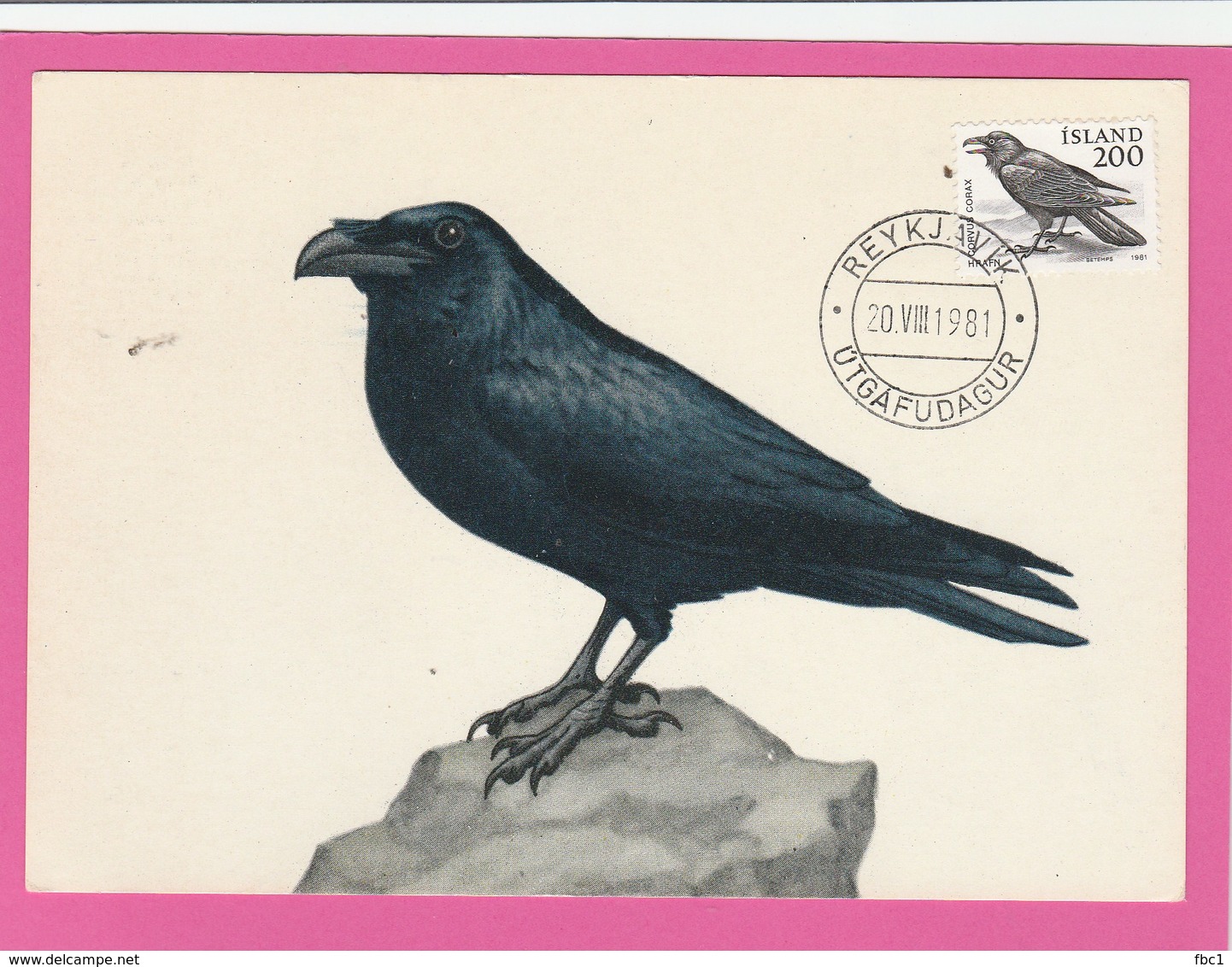 Carte Maximum - Oiseaux - Corbeau - Islande - Iceland - Autres & Non Classés