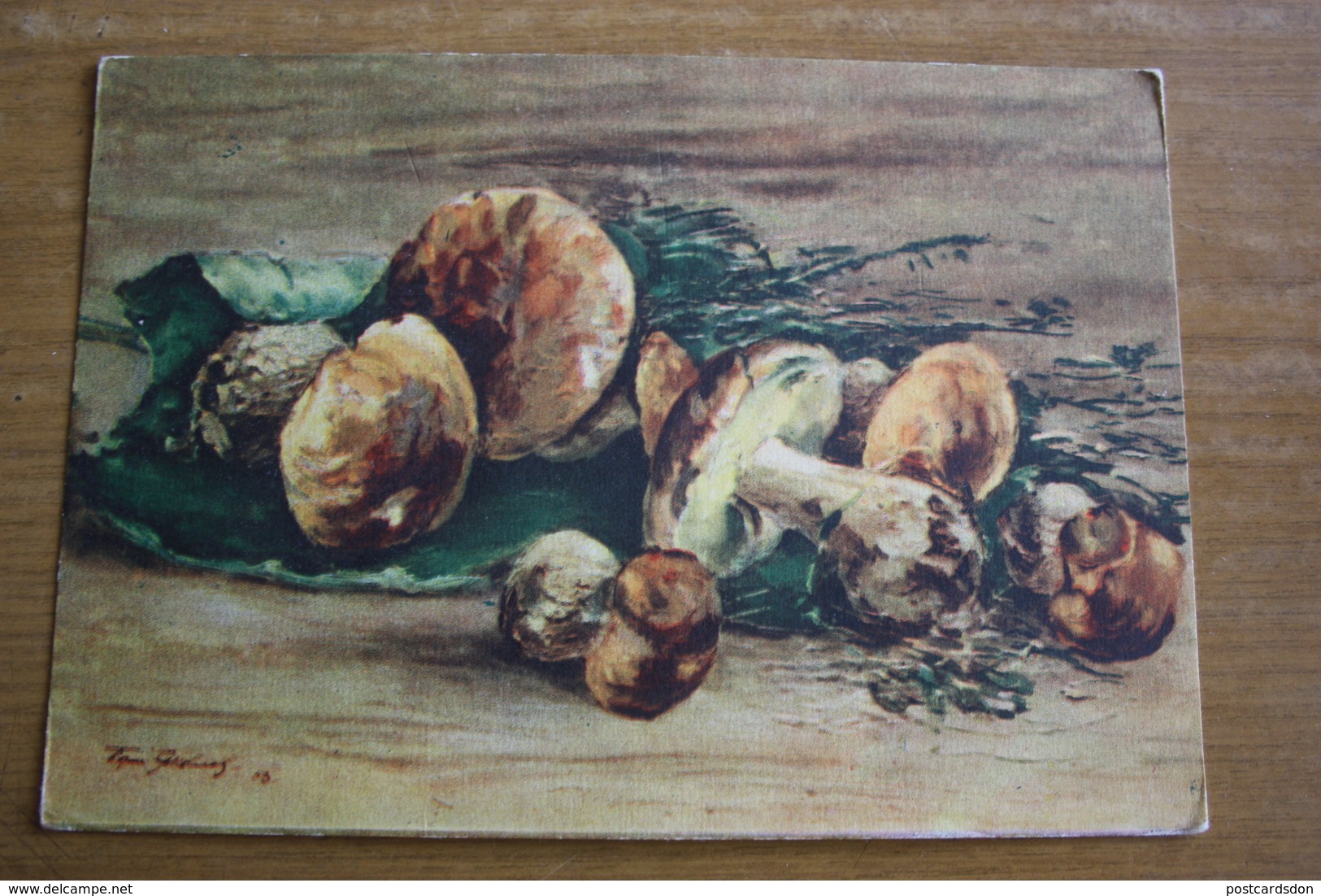 Yakovlev "Mushrooms" - OLD PC 1956  - Mushroom - Champignon - Mushrooms