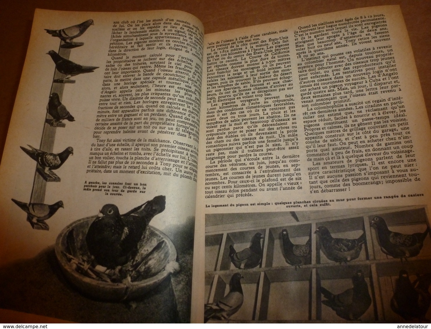 1952 MÉCANIQUE POPULAIRE: Pour avoir la forme TOP à 50 ans; Colombophilie ; Faire une table roulante pour jardinier;etc