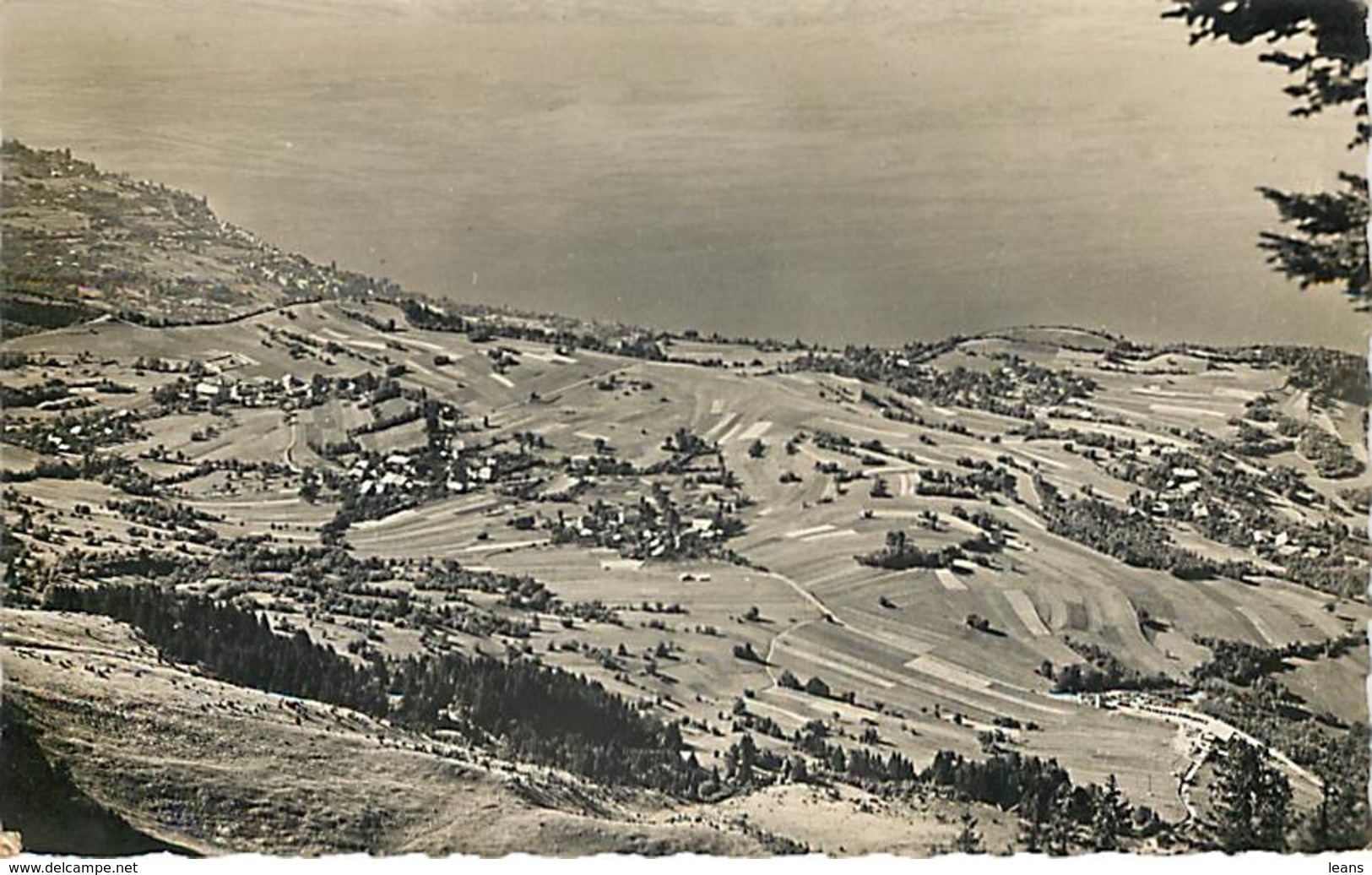 THOLLON LES MEMISES - Vue Générale Et La Côte Suisse - 7781 - Thollon