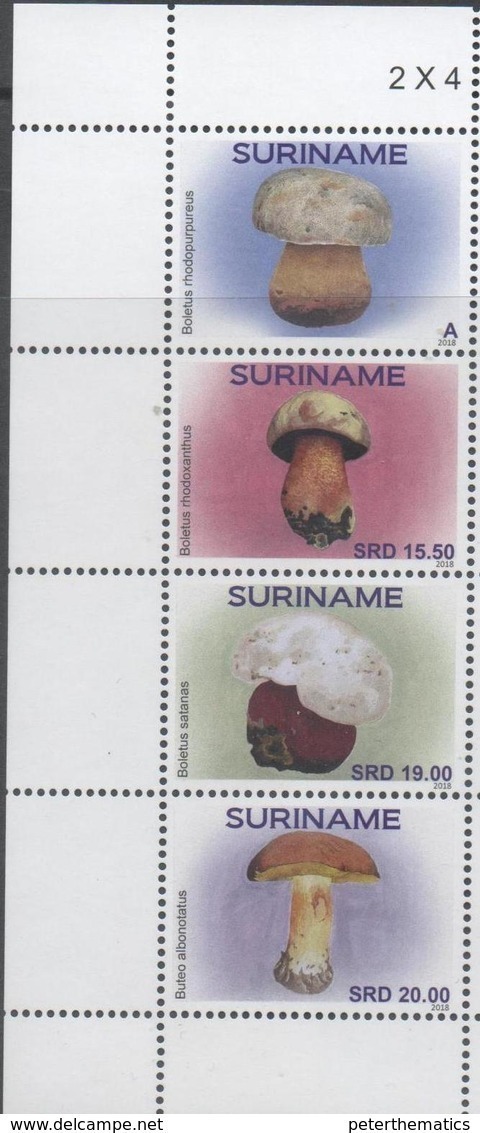 SURINAME, 2018, MNH, MUSHROOMS,4v - Mushrooms