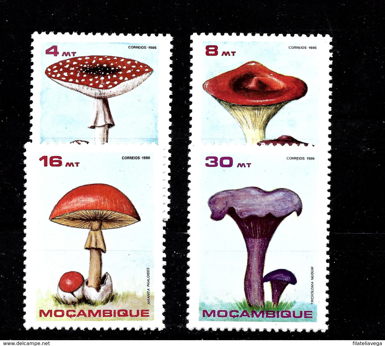 Serie De Mozambique Nº Yvert 1057/60 ** SETAS (MUSHROOMS) - Mozambique