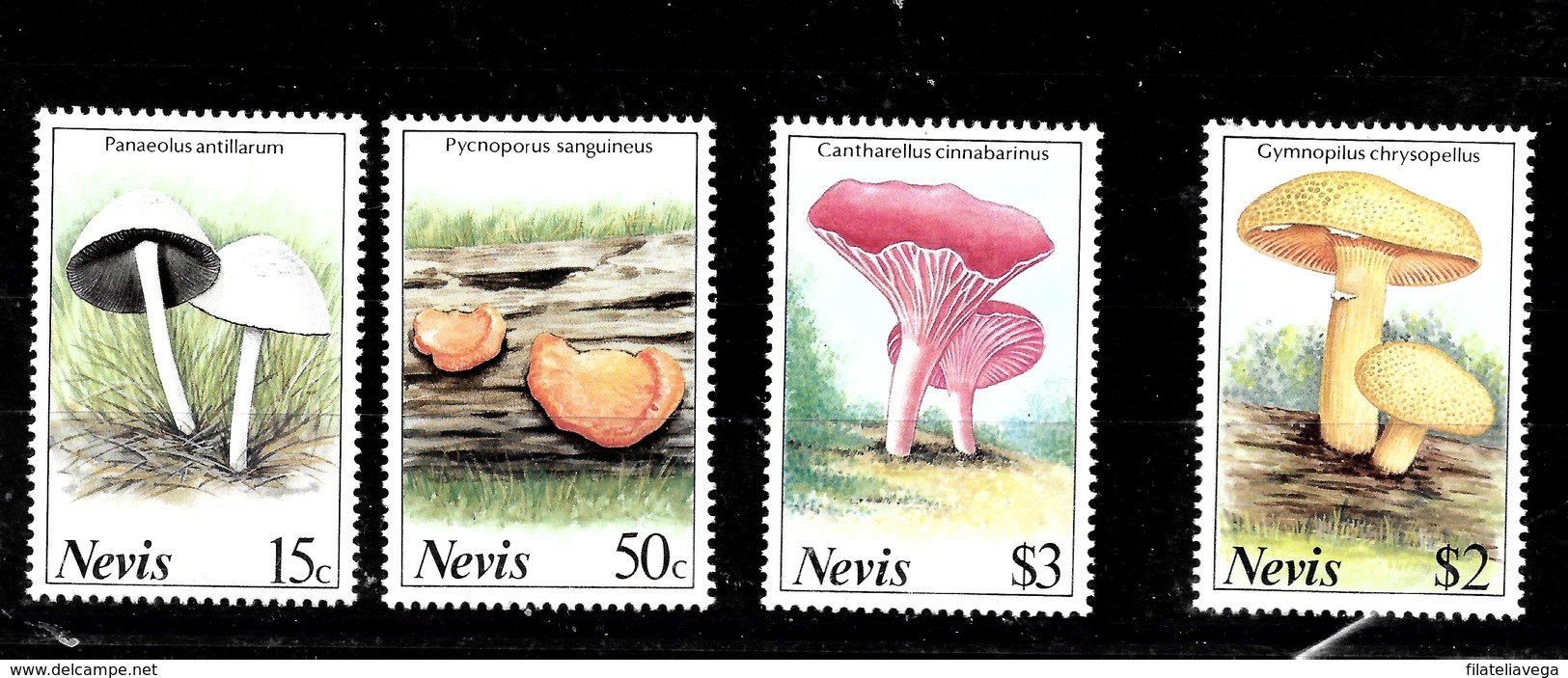 Serie De Nevis Nº Yvert 495/98 ** SETAS (MUSHROOMS) - St.Kitts Y Nevis ( 1983-...)