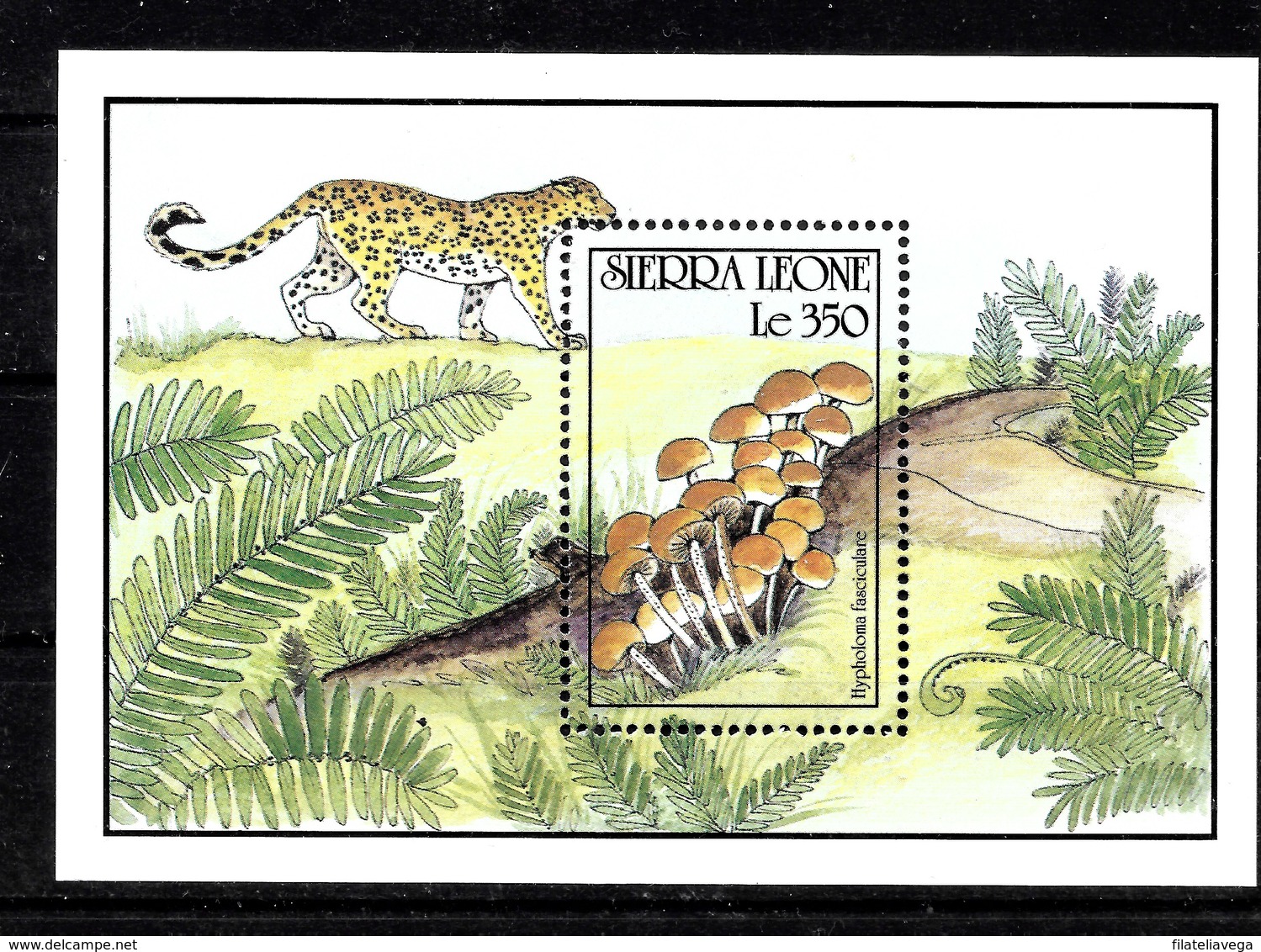 Hoja Bloque De Sierra Leona Nº Yvert HB-139 ** SETAS (MUSHROOMS) - Sierra Leona (1961-...)