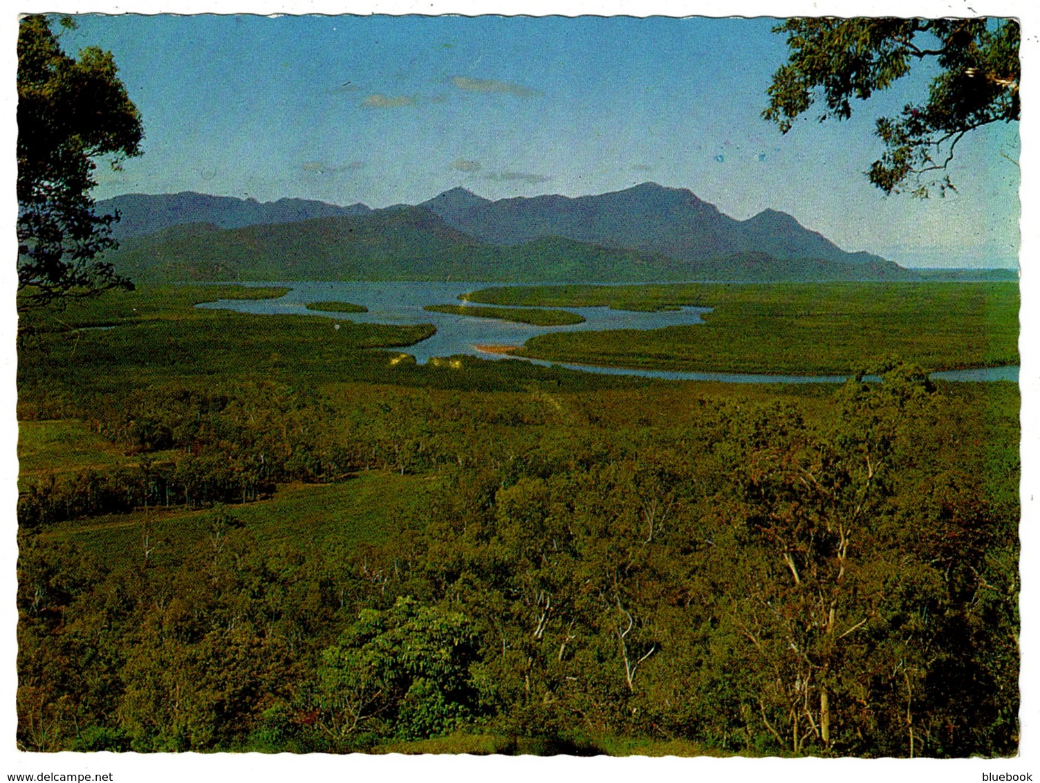 Ref 1260 - Postcard - View Of Hinchinbrook Island From Cardwell - Queensland Australia - Otros & Sin Clasificación
