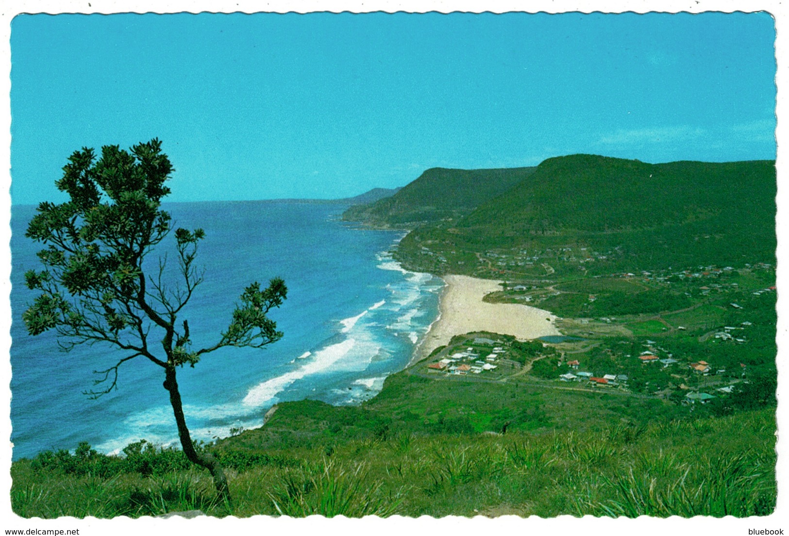 Ref 1260 - Postcard - Stanwell Park From Bald Hill - New South Wales - Australia - Sonstige & Ohne Zuordnung