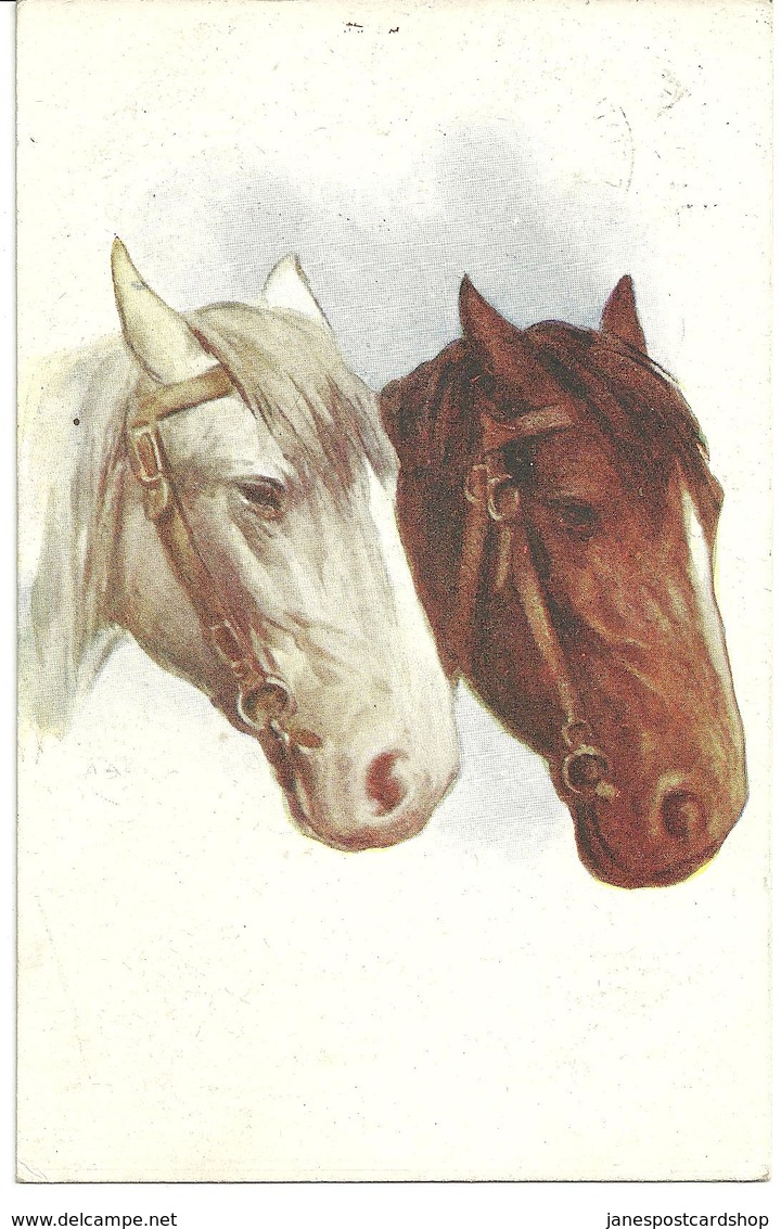 ARTIST DRAWN HORSE PORTRAIT - With Freshwater Station Railway Postmark 1021 - Horses