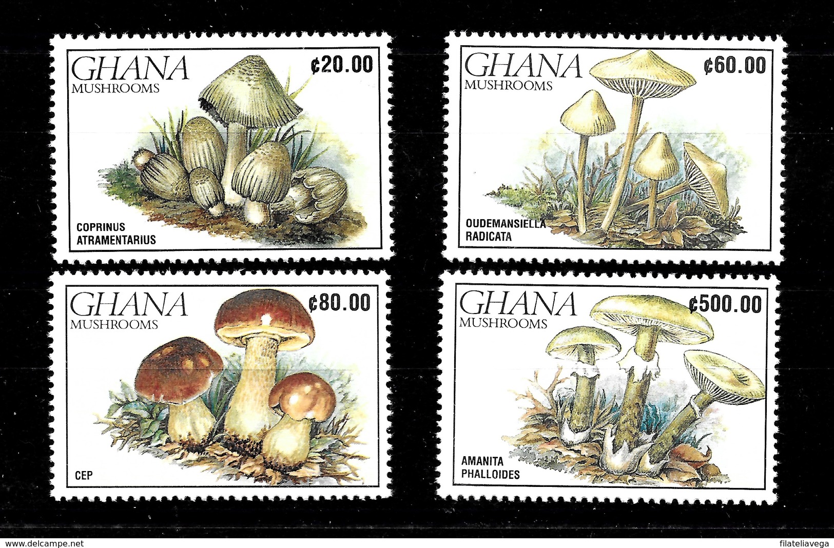 Serie De Ghana Nº Yvert 1060/63 ** SETAS (MUSHROOMS) - Mushrooms
