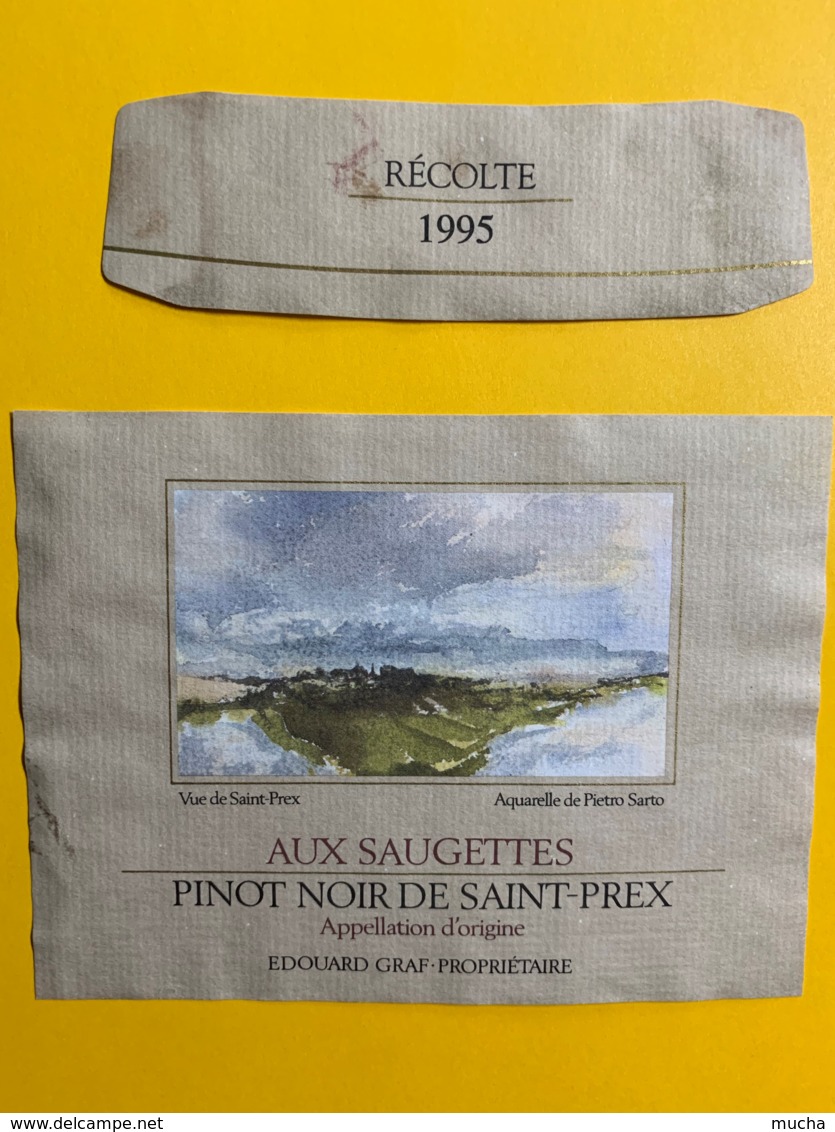 9731 - Aux Saugettes Pinot Noir De Saint-Prex 1995  Suisse Aquarelle De Pietro Sarto - Art