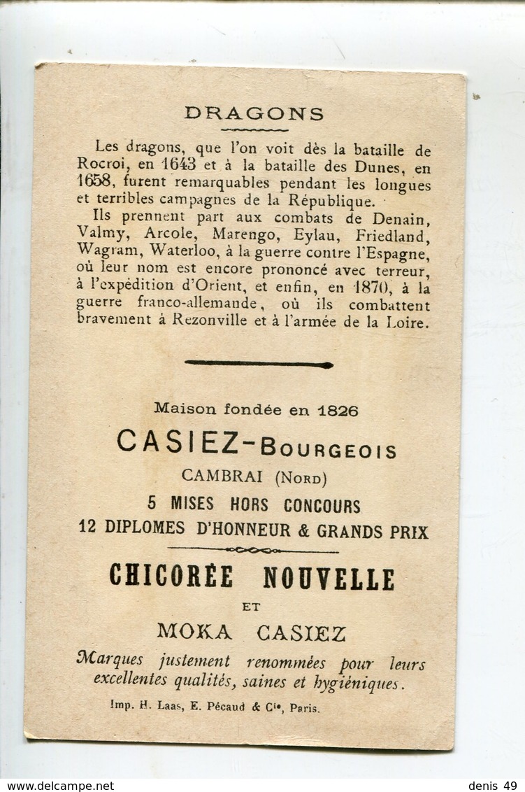 Dragons Chicorée Casiez - Autres & Non Classés