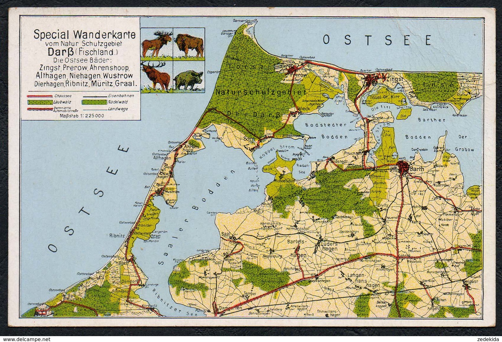 C1763 - Darß Ostsee Wanderkarte - Julius Simonsen - Cartes Géographiques