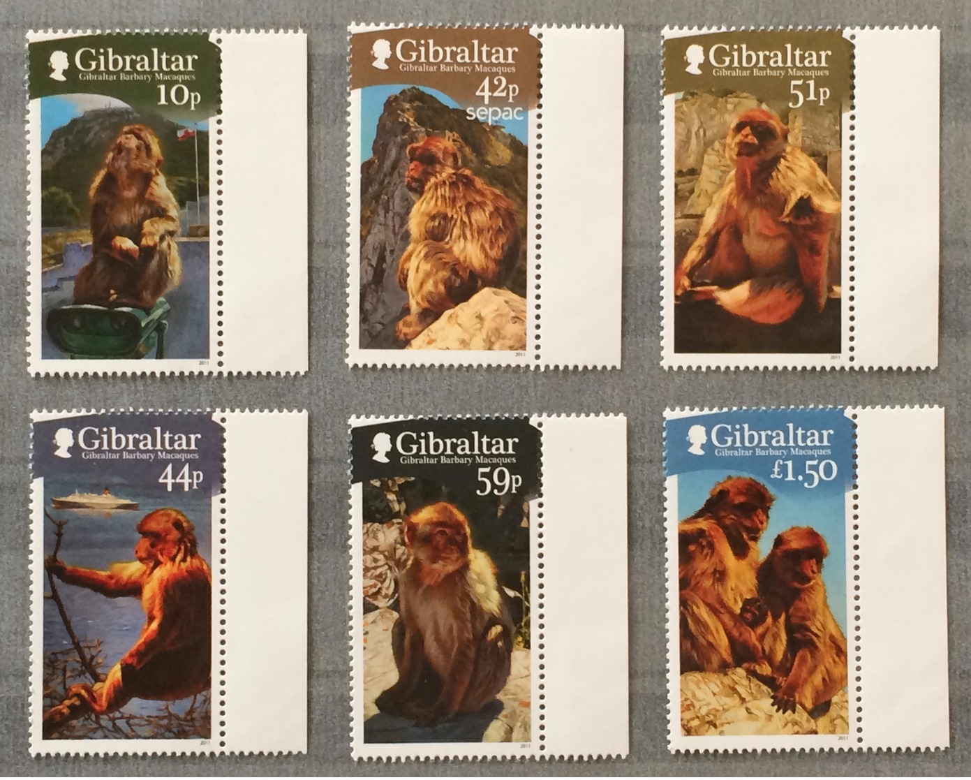 Gibraltar 2011; Wild Animals, Monkey; MNH** VF; CV 24 Euro!! - Singes