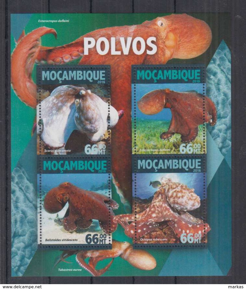 L89. Mozambique - MNH - 2016 - Nature - Marine Life - Octopus - Other & Unclassified