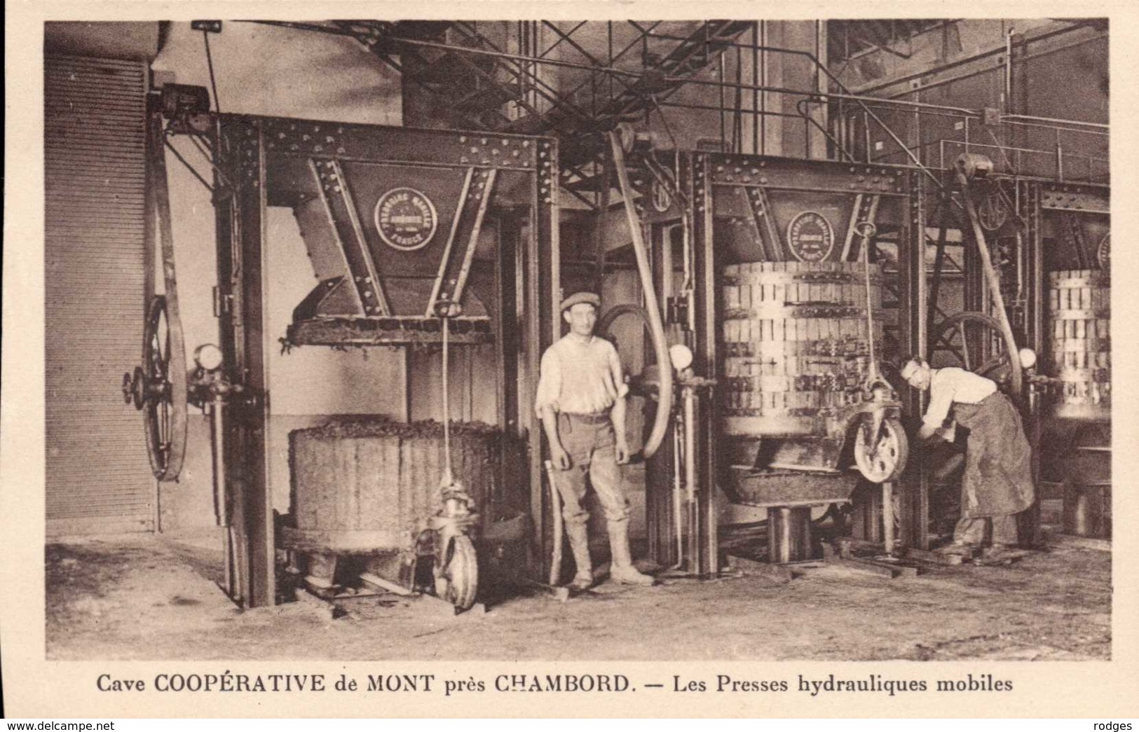 Dep 41 , Cpa Cave Coopérative De MONT Près CHAMBORD , Les Presses Hydrauliques Mobiles  (3551) - Autres & Non Classés