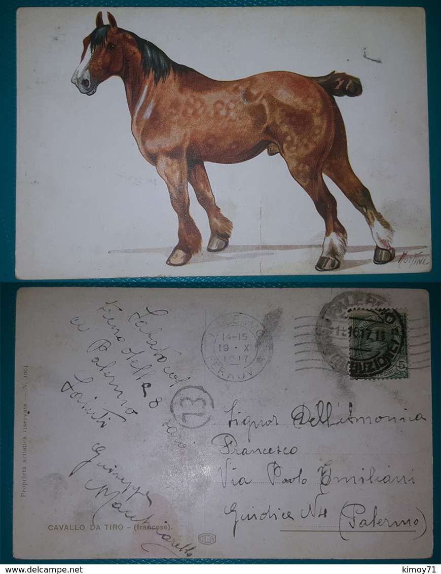 Cartolina Illustrata Cavallo. - (Firmata). Viaggiata 1917 - Chevaux