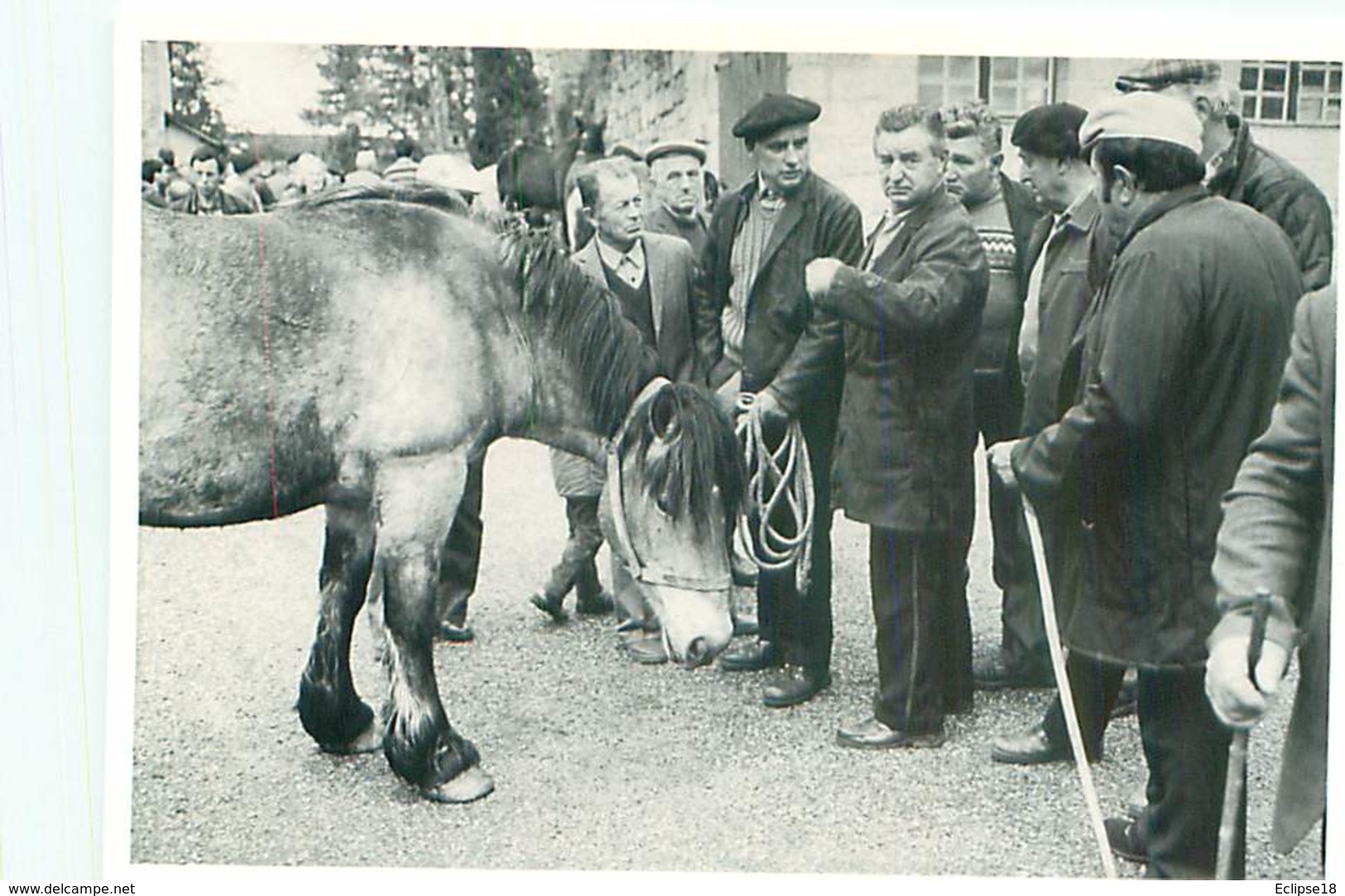 Photo Bernard Delfraissy - Capdenac Le Haut - Foire Aux Chevaux    B 604 - Kirmes