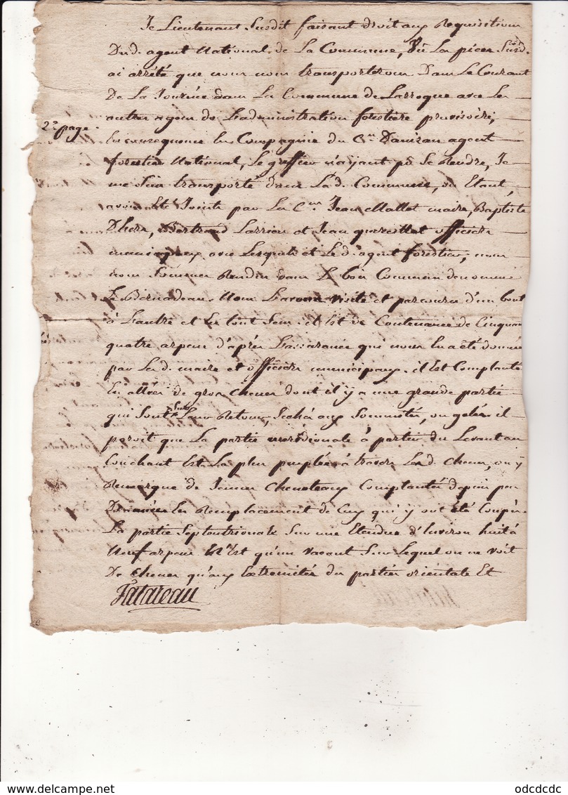 Minute An 2 De La Republique 19 Messidor  Eaux Et Forets Concerne La Commune De Larroque 4 Scans - Cachets Généralité